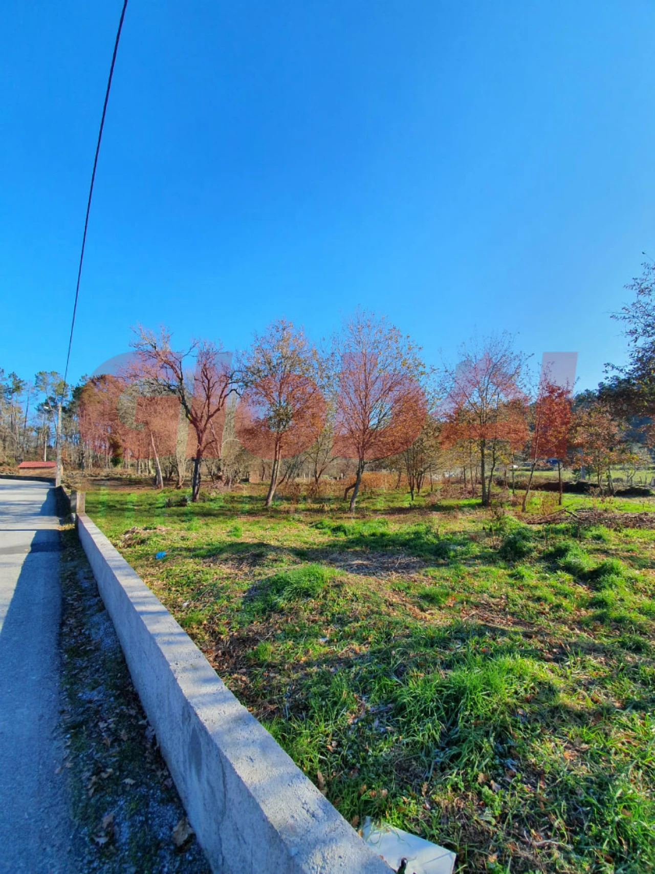 Terreno Agricola ou Rústico para Venda em Orgens Foto 1