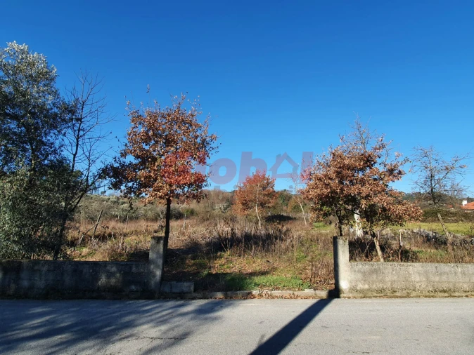 Terreno Agricola ou Rústico para Venda em Orgens Foto 2