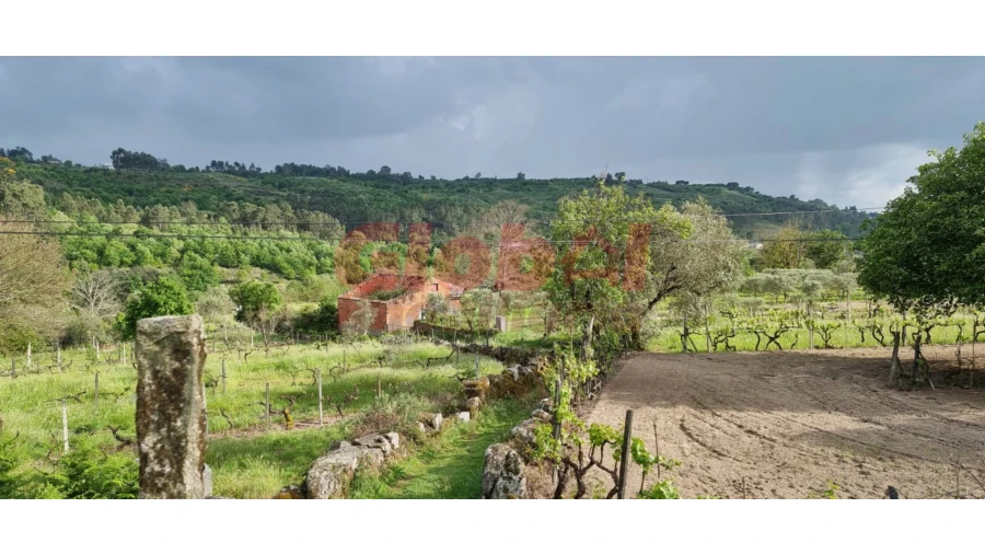 Terreno para Venda em Santos Evos Foto 2