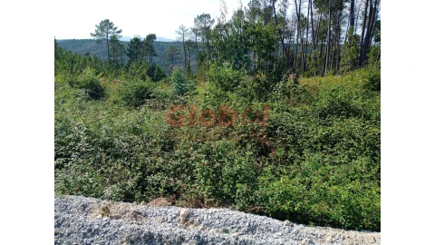 Terreno para Venda em Calde