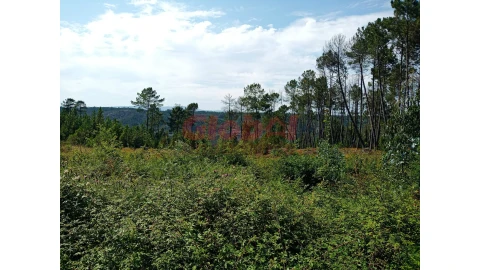Terreno para Venda em Calde