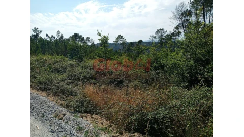 Terreno para Venda em Calde