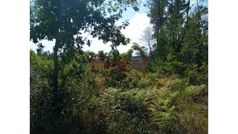 Terreno para Venda em Calde