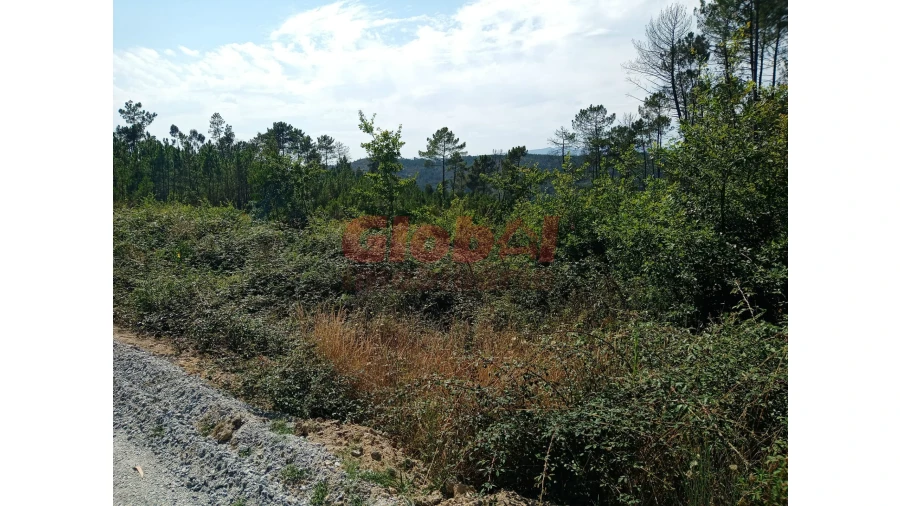 Terreno para Venda em Calde Foto 2
