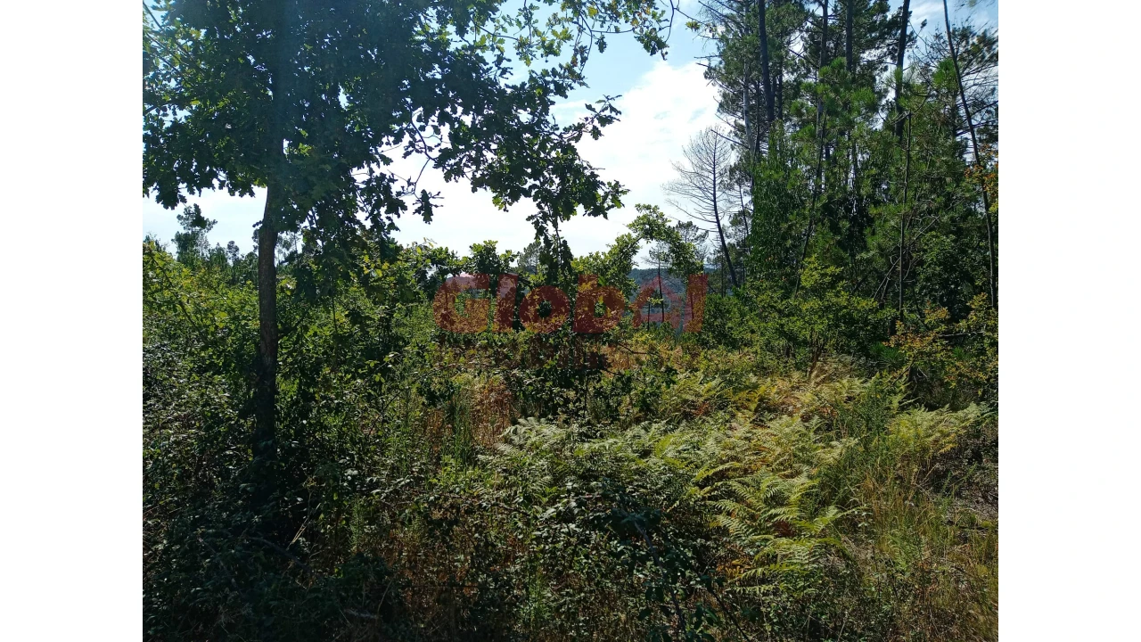 Terreno para Venda em Calde Foto 4