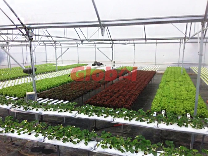 Quinta T0 para Venda em Quintela de Azurara Foto 1