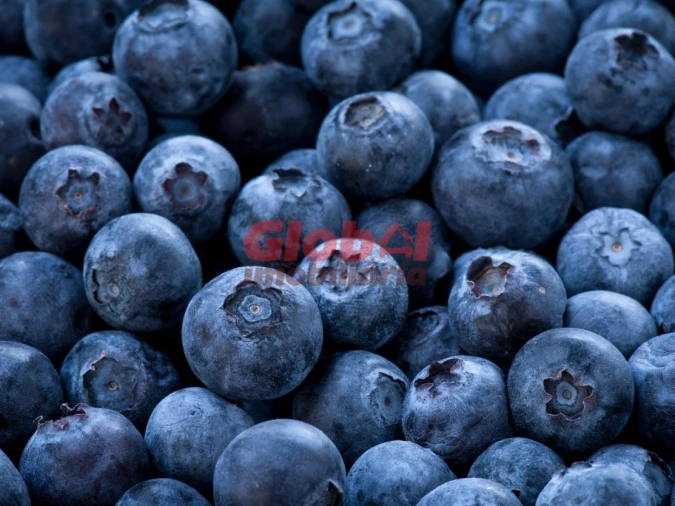 Quinta T0 para Venda em Quintela de Azurara Foto 2