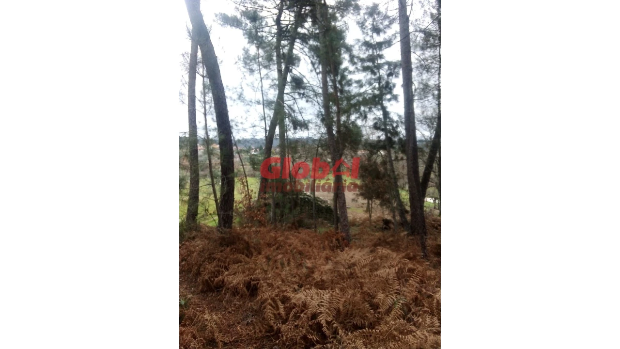 Terreno Agricola ou Rústico para Venda em Couto de Baixo e Couto de Cima Foto 7