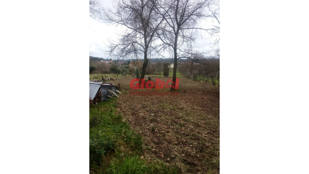 Terreno Agricola ou Rústico para Venda em Couto de Baixo e Couto de Cima Foto 1