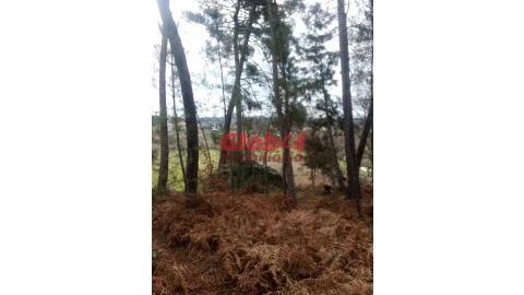 Terreno Agricola ou Rústico para Venda em Couto de Baixo e Couto de Cima