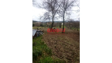 Terreno Agricola ou Rústico para Venda em Couto de Baixo e Couto de Cima