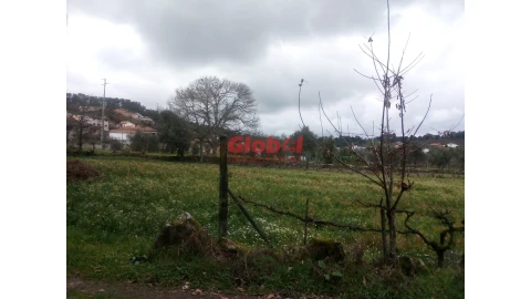Terreno Agricola ou Rústico para Venda em Couto de Baixo e Couto de Cima