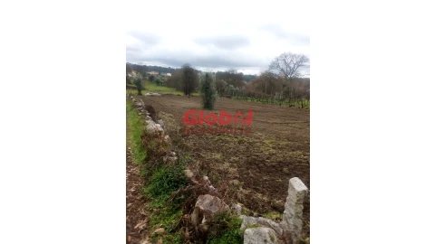 Terreno Agricola ou Rústico para Venda em Couto de Baixo e Couto de Cima