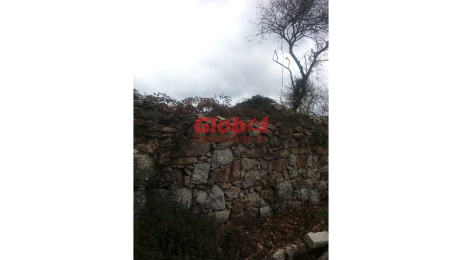 Terreno Agricola ou Rústico para Venda em Couto de Baixo e Couto de Cima Foto 5