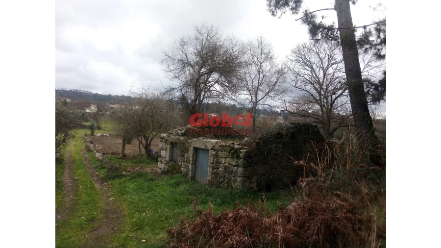 Terreno Agricola ou Rústico para Venda em Couto de Baixo e Couto de Cima Foto 8