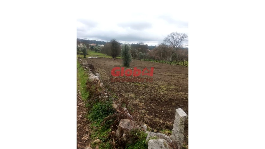 Terreno Agricola ou Rústico para Venda em Couto de Baixo e Couto de Cima Foto 4