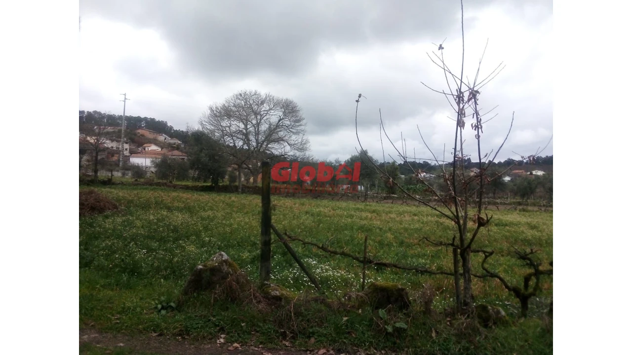 Terreno Agricola ou Rústico para Venda em Couto de Baixo e Couto de Cima Foto 6