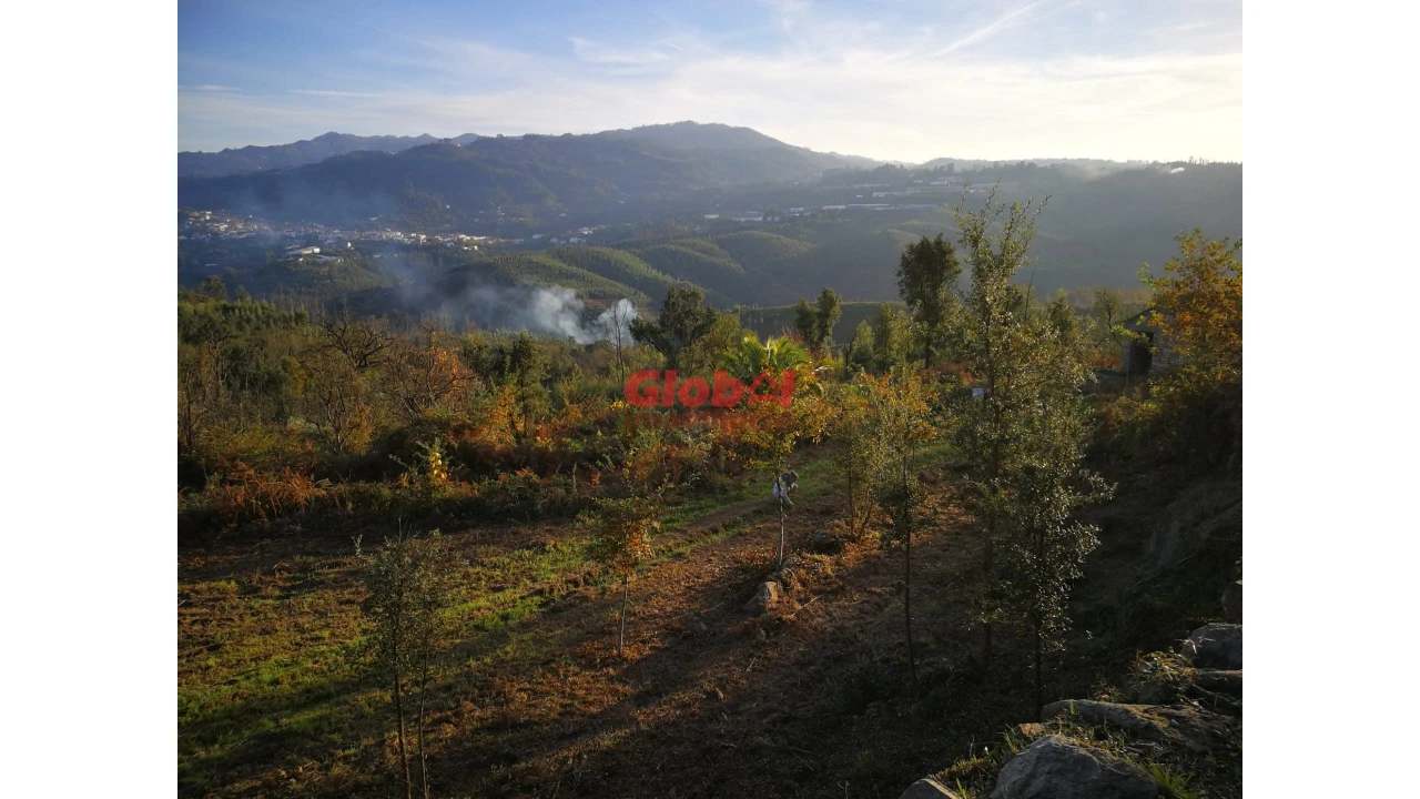 Terreno para Venda em Serrazes Foto 1