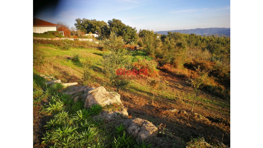 Terreno para Venda em Serrazes Foto 3