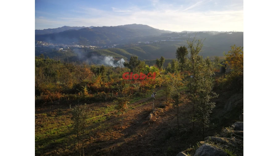 Terreno para Venda em Serrazes