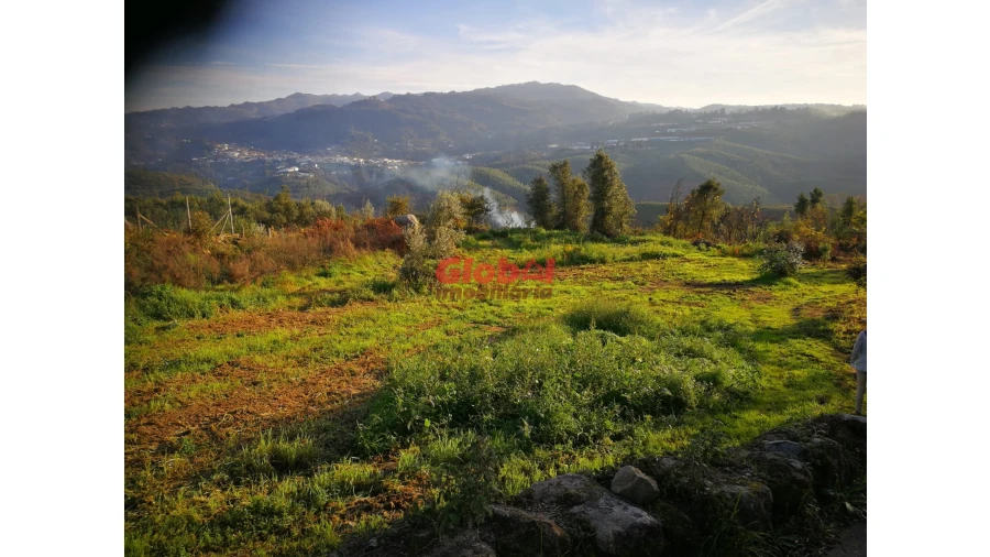 Terreno para Venda em Serrazes Foto 5