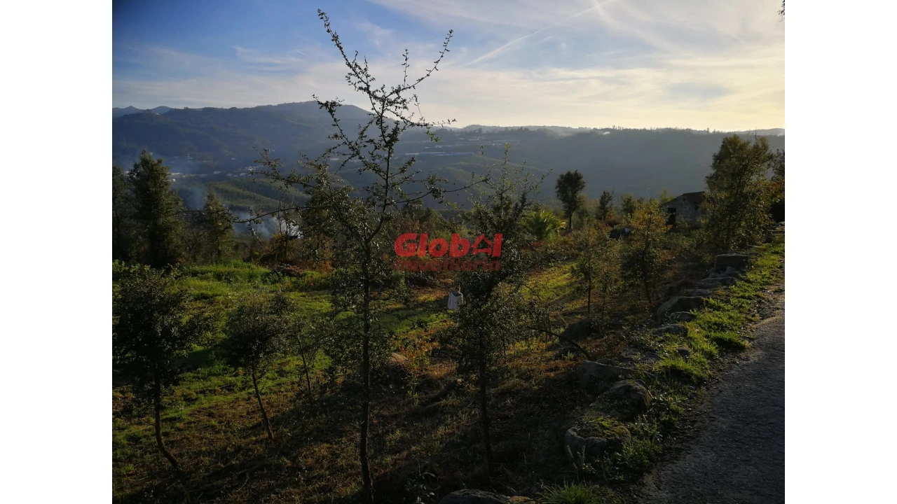 Terreno para Venda em Serrazes Foto 6