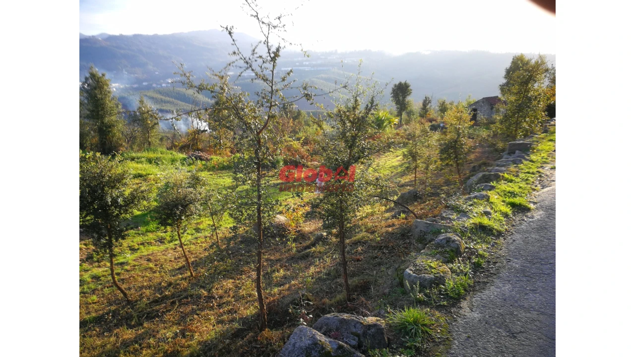 Terreno para Venda em Serrazes Foto 4