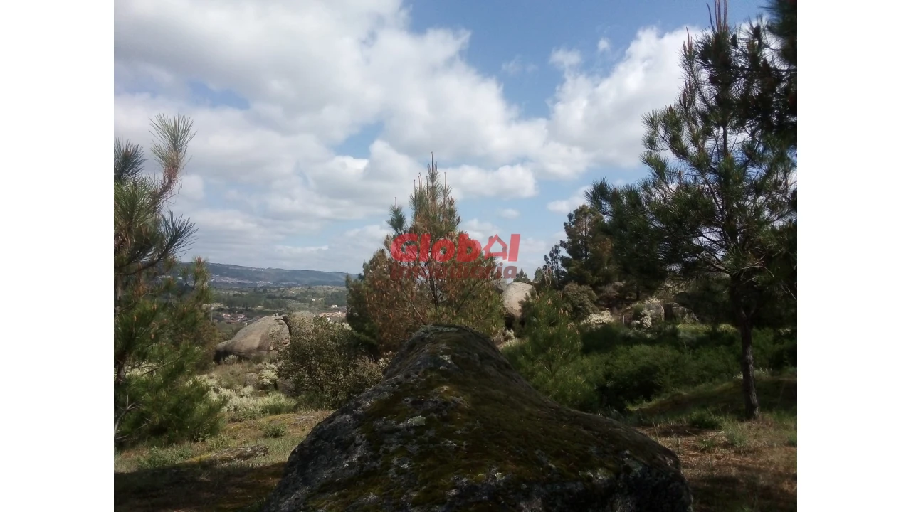 Quinta T0 para Venda em Vila Franca da Serra Foto 7