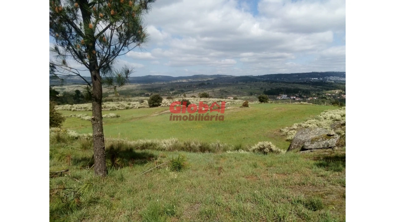 Quinta T0 para Venda em Vila Franca da Serra Foto 6