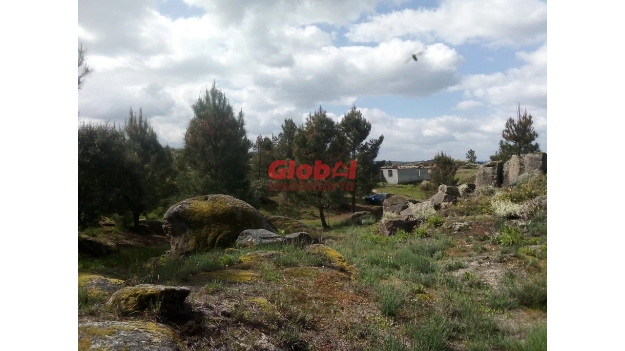 Quinta T0 para Venda em Vila Franca da Serra Foto 8