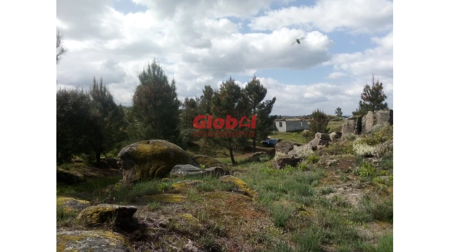 Quinta T0 para Venda em Vila Franca da Serra Foto 8