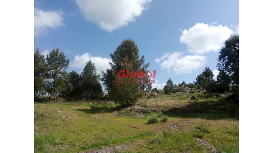 Quinta T0 para Venda em Vila Franca da Serra Foto 5