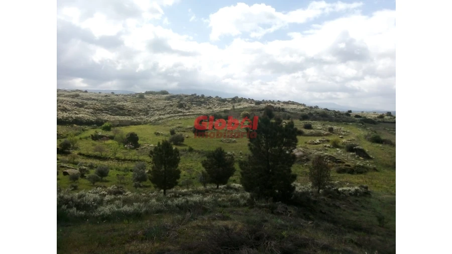 Quinta T0 para Venda em Vila Franca da Serra