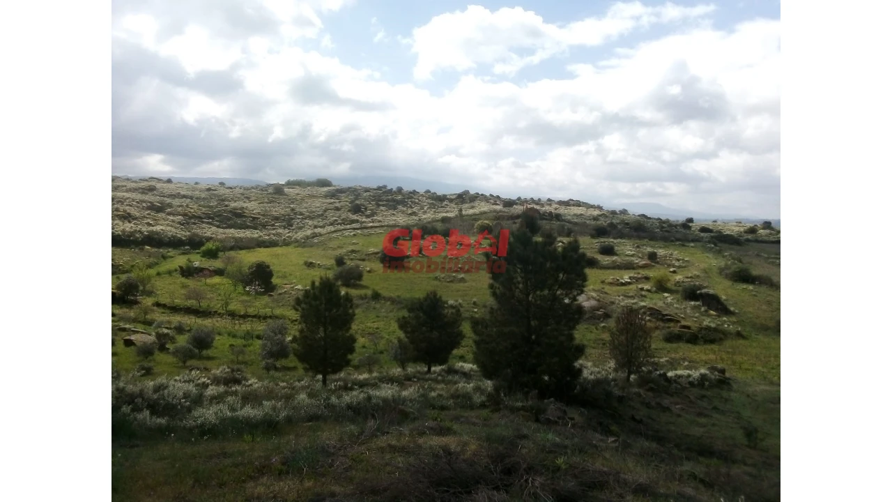 Quinta T0 para Venda em Vila Franca da Serra Foto 1