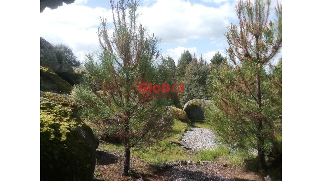 Quinta T0 para Venda em Vila Franca da Serra Foto 3