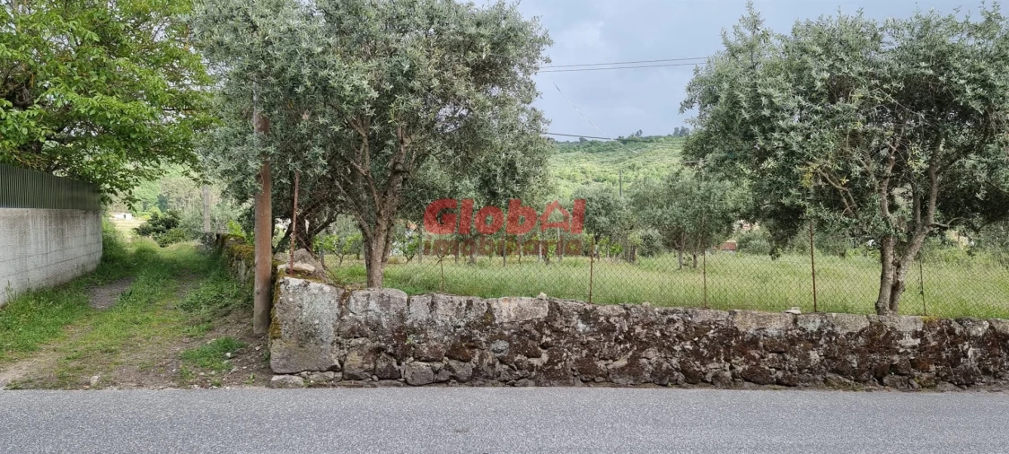 Terreno para Venda em Santos Evos Foto 3