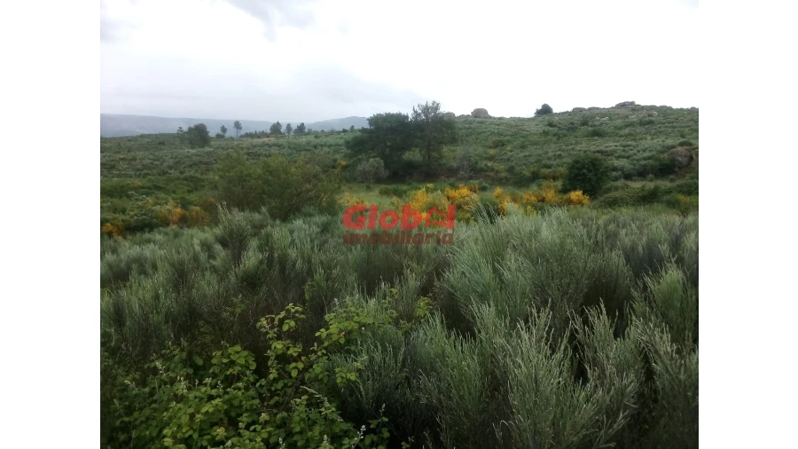 Terreno para Venda em Vila Franca da Serra Foto 2