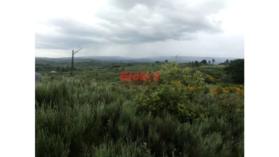 Terreno para Venda em Vila Franca da Serra