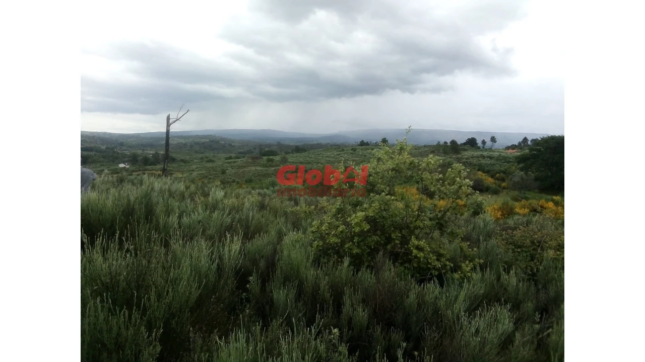 Terreno para Venda em Vila Franca da Serra Foto 1