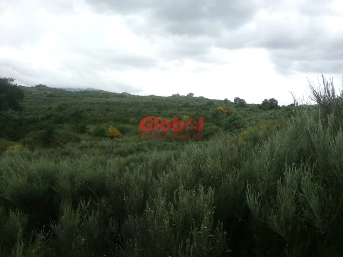 Terreno para Venda em Vila Franca da Serra Foto 2