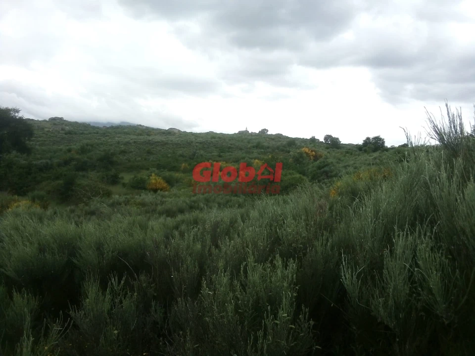 Terreno para Venda em Vila Franca da Serra Foto 2
