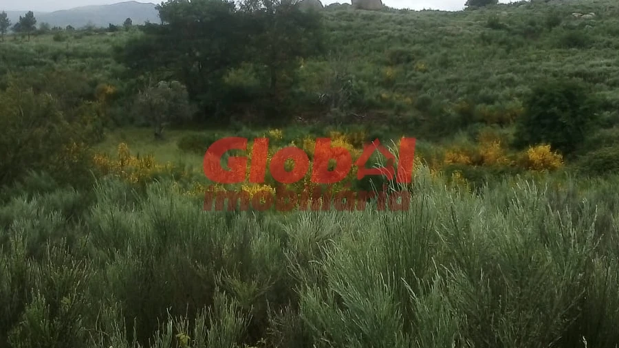 Terreno para Venda em Vila Franca da Serra