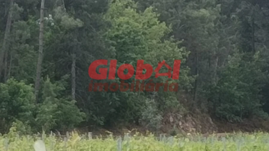 Terreno Agricola ou Rústico para Venda em Silgueiros