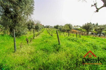 Terreno Agricola ou Rústico para Venda em Silgueiros