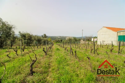 Terreno Agricola ou Rústico para Venda em Silgueiros