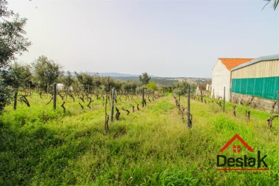 Terreno Agricola ou Rústico para Venda em Silgueiros