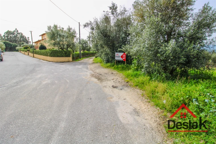 Terreno Agricola ou Rústico para Venda em Silgueiros Foto 12
