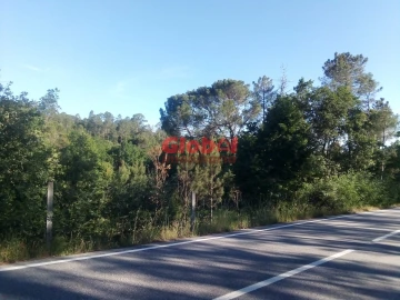 Terreno Agricola ou Rústico para Venda em São Cipriano e Vil de Souto