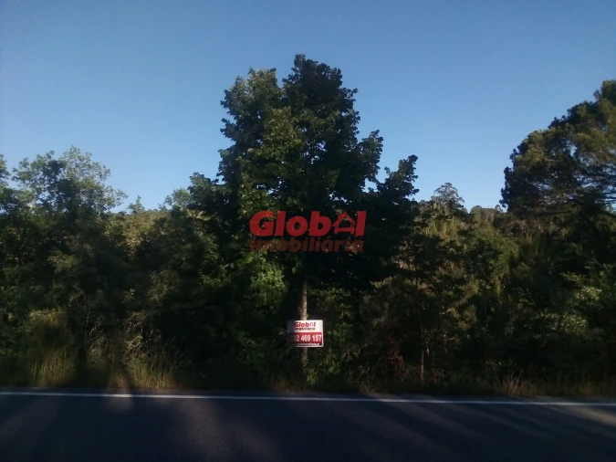Terreno Agricola ou Rústico para Venda em São Cipriano e Vil de Souto Foto 3