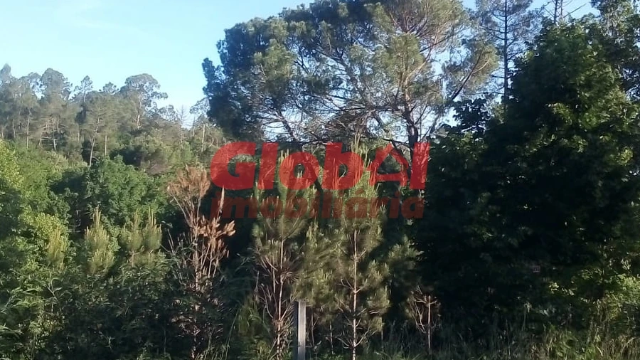 Terreno Agricola ou Rústico para Venda em São Cipriano e Vil de Souto